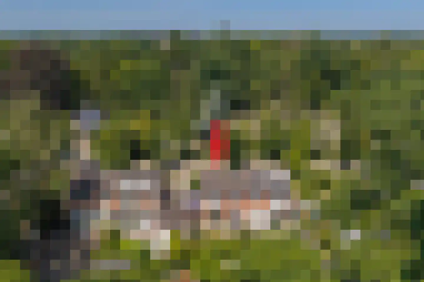 Roeterdsweg 22 Diepenveen thumbnail 23