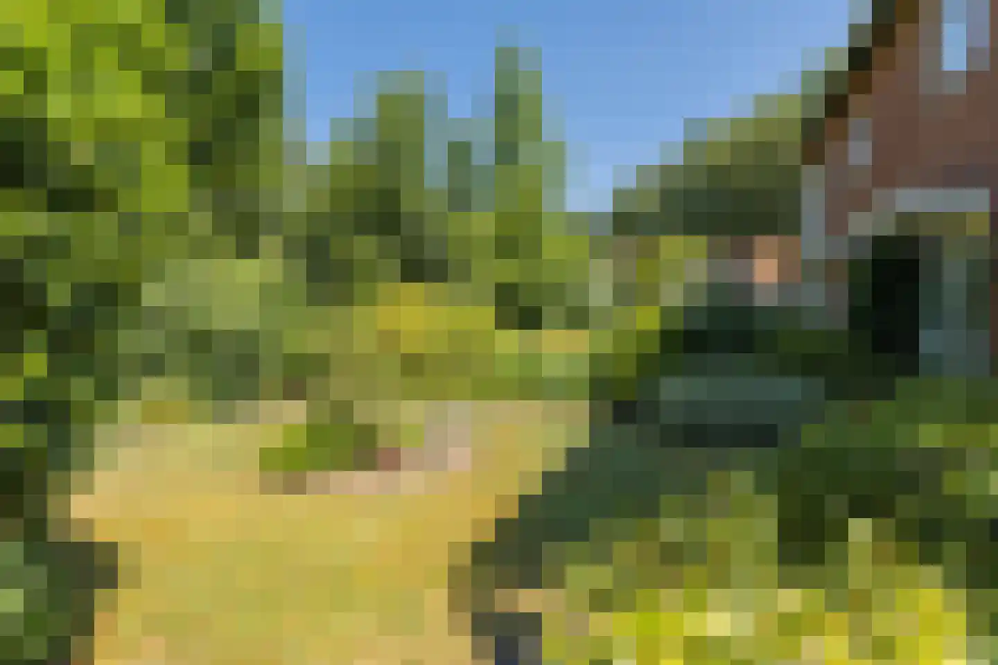 Roeterdsweg 22 Diepenveen thumbnail 26