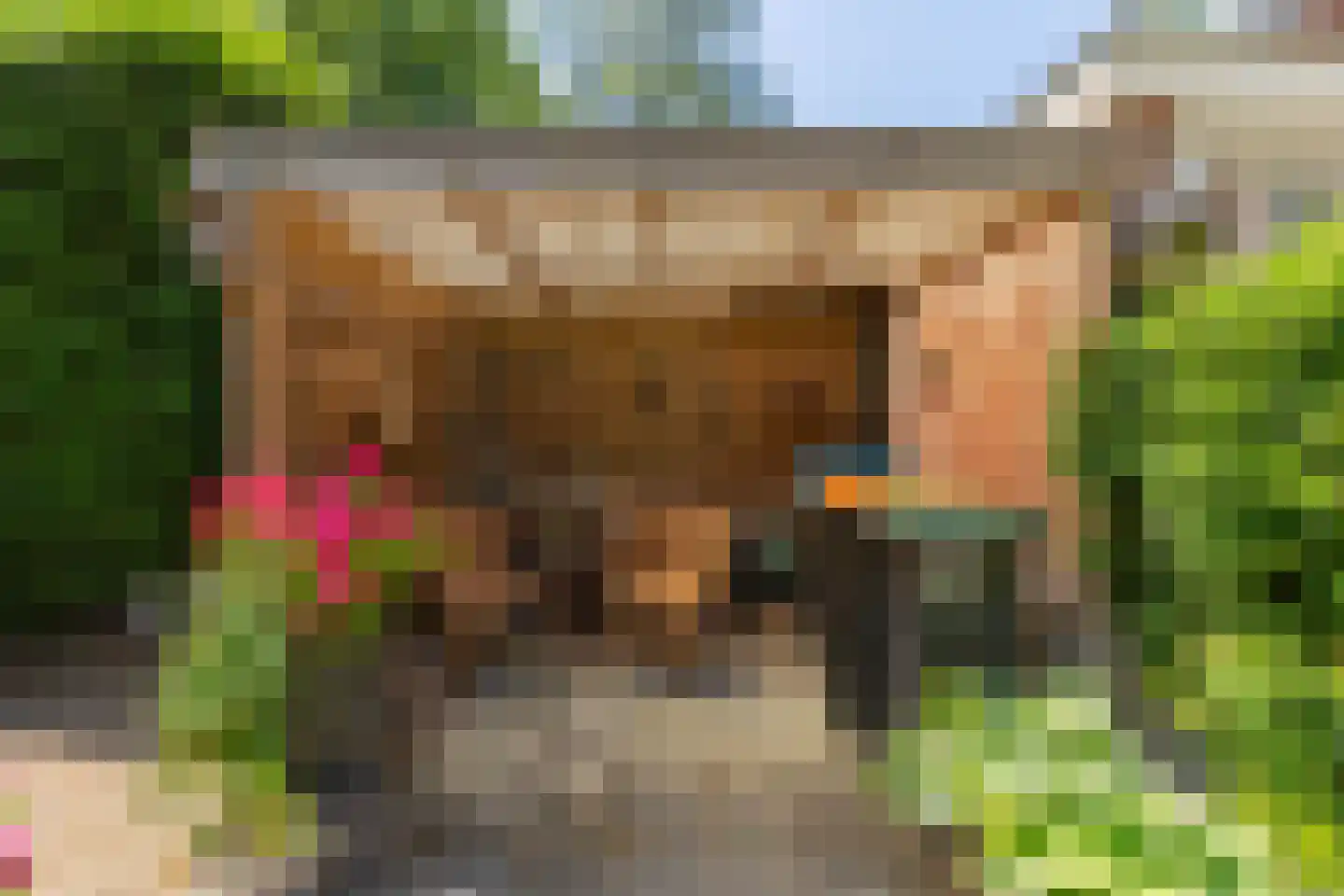 Roeterdsweg 22 Diepenveen thumbnail 35