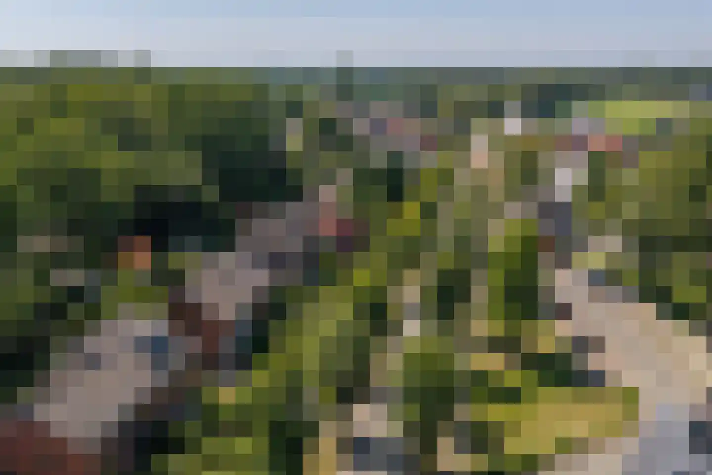 Roeterdsweg 22 Diepenveen thumbnail 36