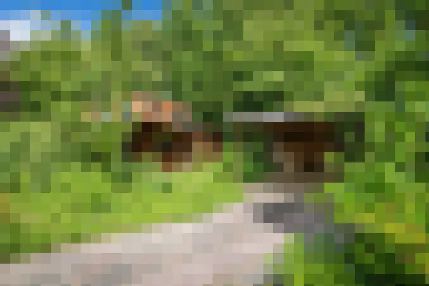 Roeterdsweg 24 Diepenveen thumbnail 34