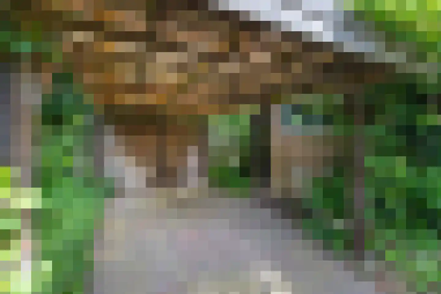 Roeterdsweg 24 Diepenveen thumbnail 35