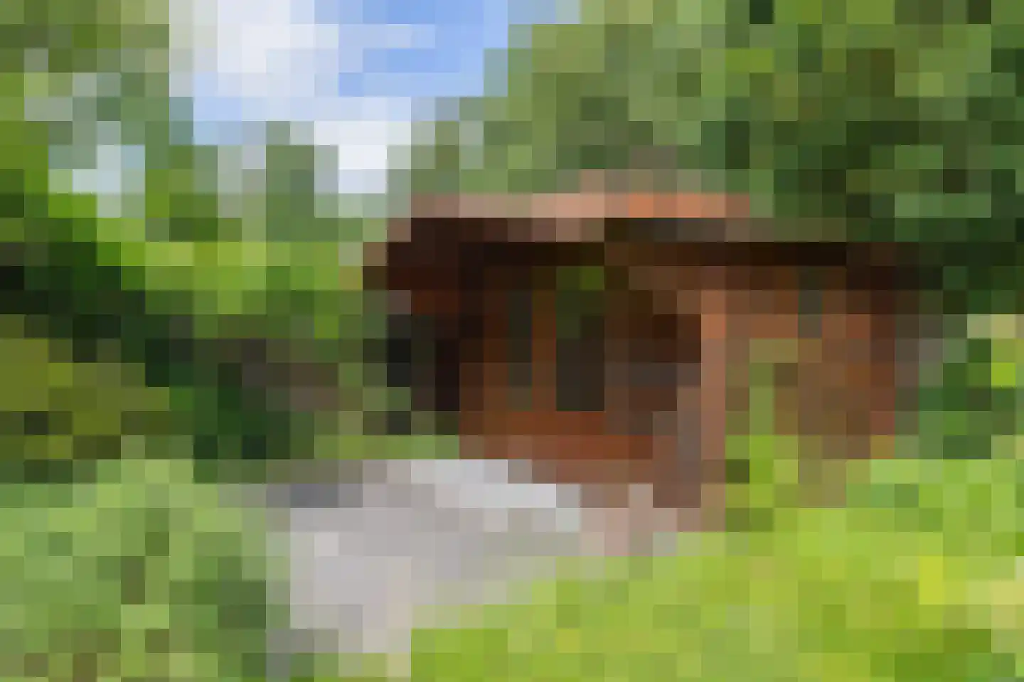 Roeterdsweg 24 Diepenveen thumbnail 36