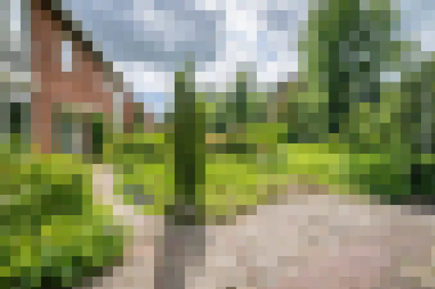 Roeterdsweg 24 Diepenveen thumbnail 38