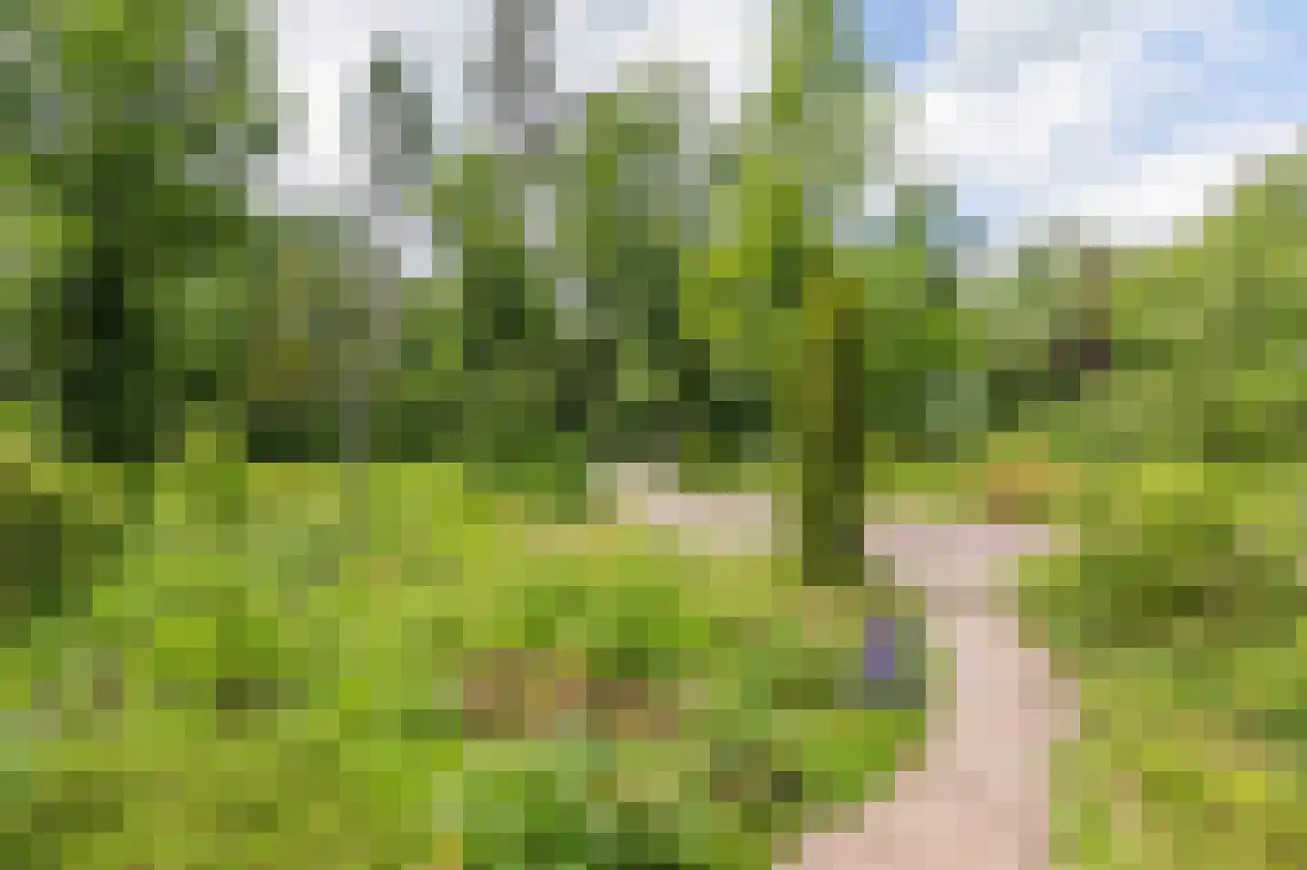 Roeterdsweg 24 Diepenveen thumbnail 39