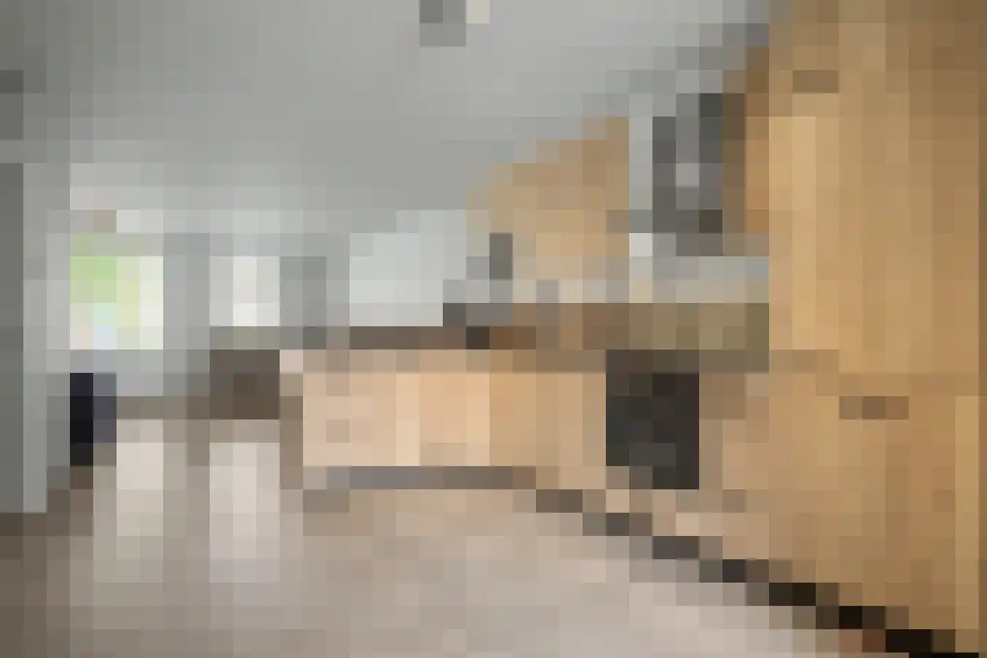 Roetershof 16 Enter thumbnail 10