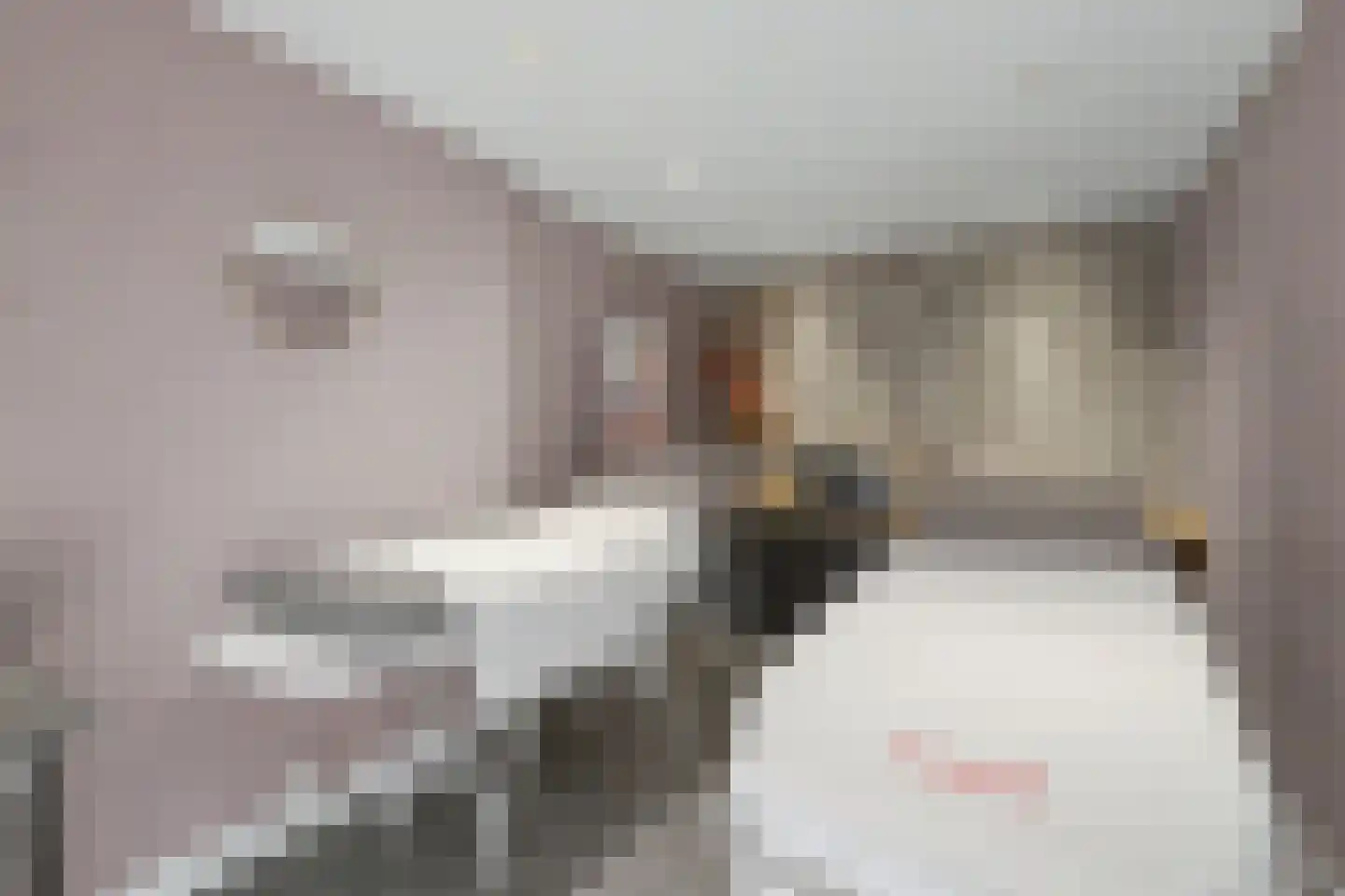 Roetershof 16 Enter thumbnail 15