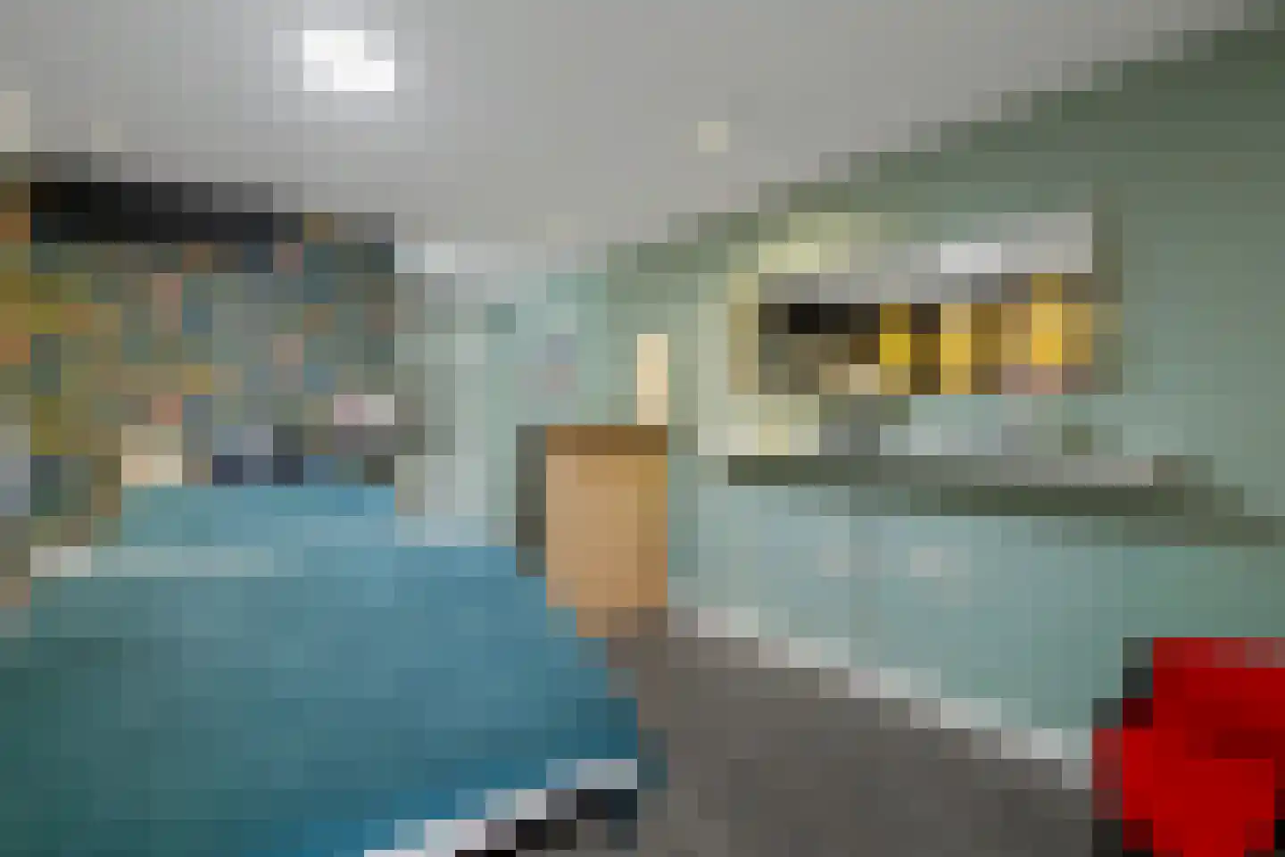 Roetershof 16 Enter thumbnail 18
