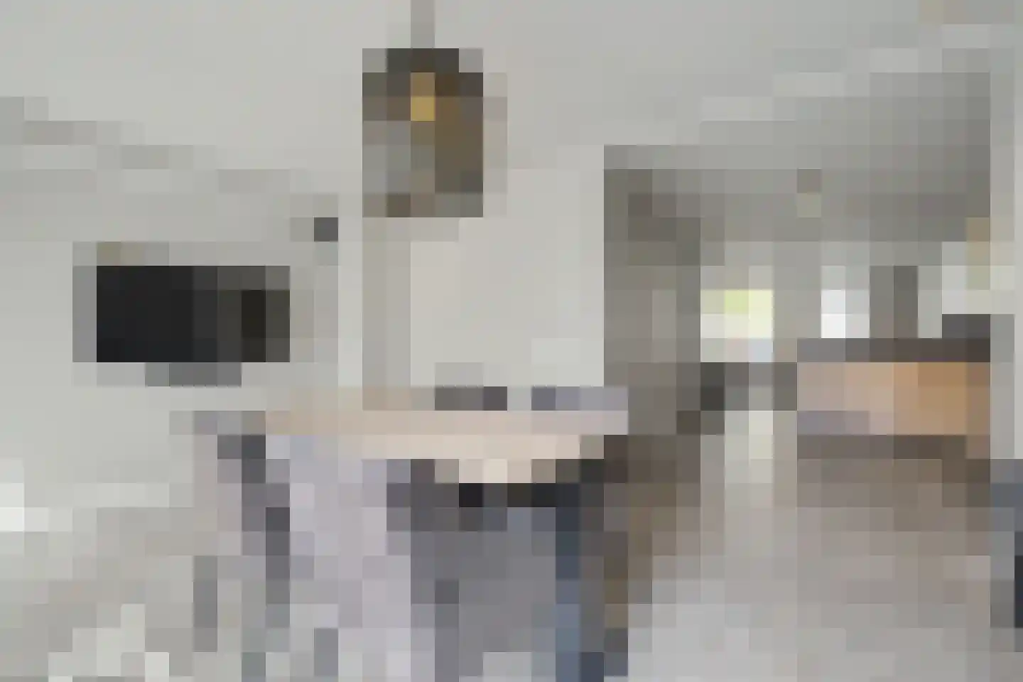 Roetershof 16 Enter thumbnail 6