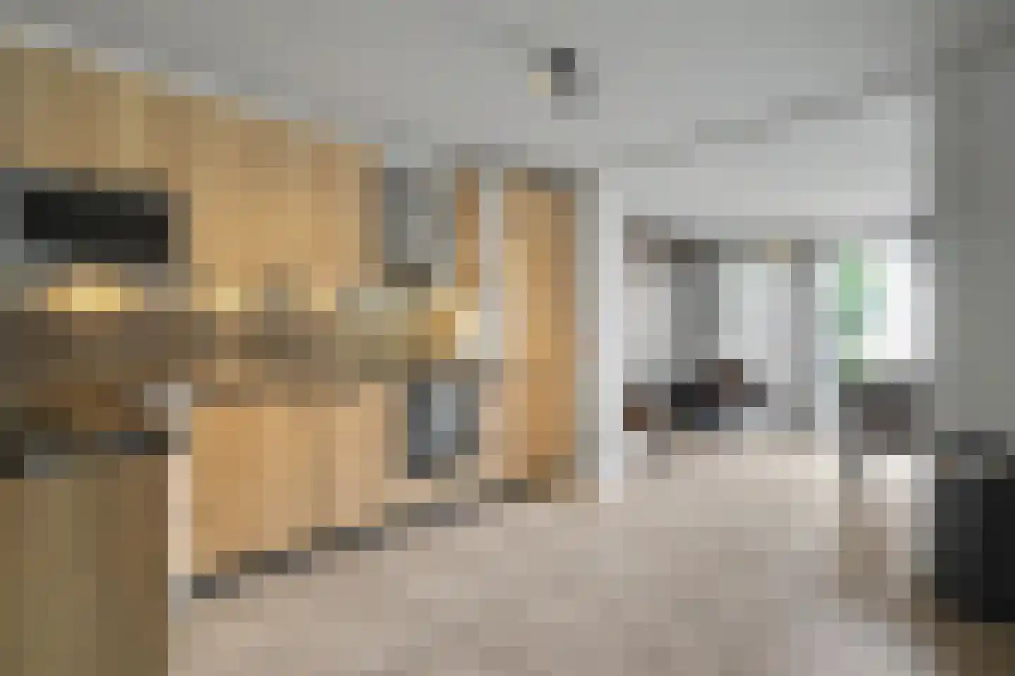 Roetershof 16 Enter thumbnail 9