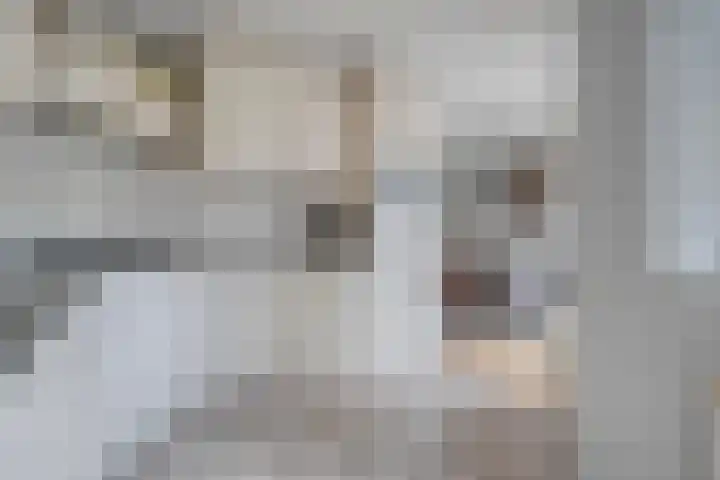 Roeterskamp 25 Hardenberg thumbnail 18