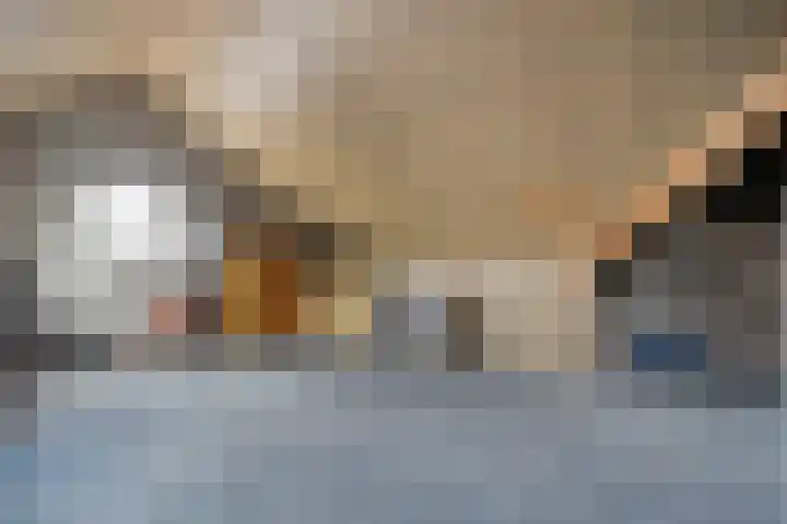 Roeterskamp 25 Hardenberg thumbnail 31