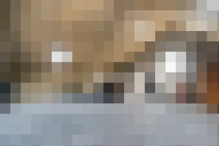 Roeterskamp 25 Hardenberg thumbnail 32