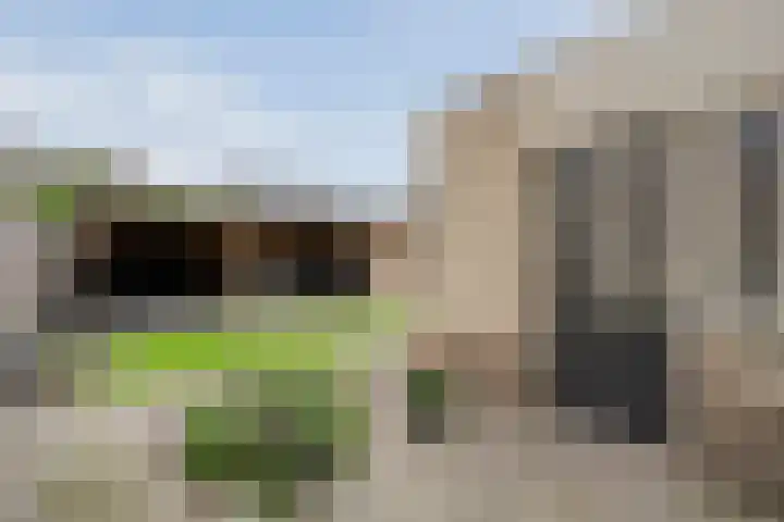 Roeterskamp 25 Hardenberg thumbnail 34