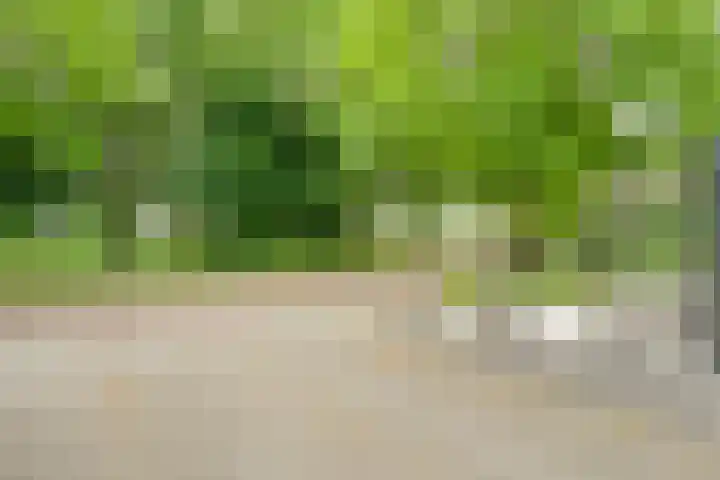 Roeterskamp 25 Hardenberg thumbnail 5