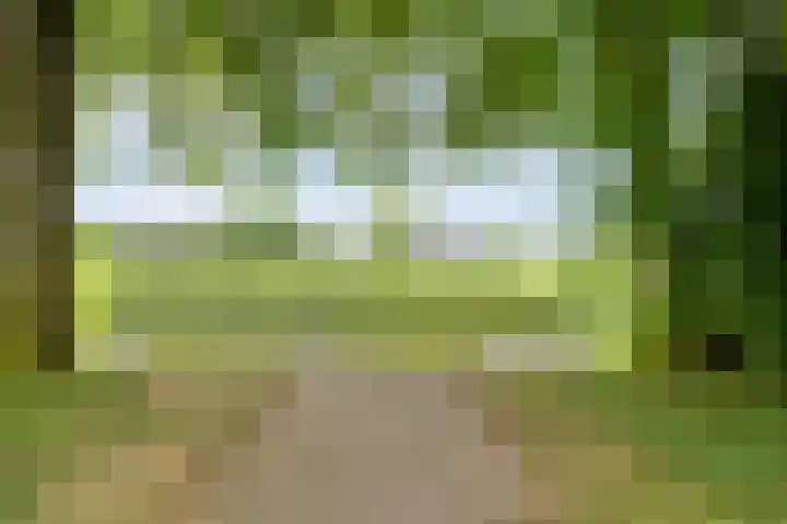 Roeterskamp 25 Hardenberg thumbnail 6