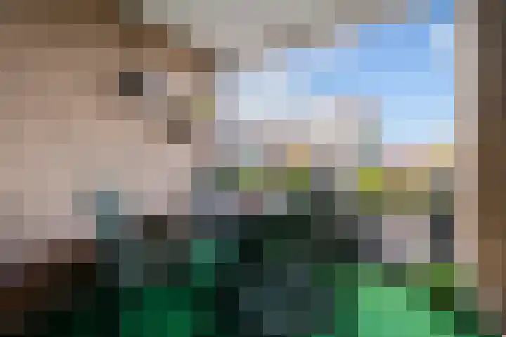 Roeterskamp 25 Hardenberg thumbnail 7