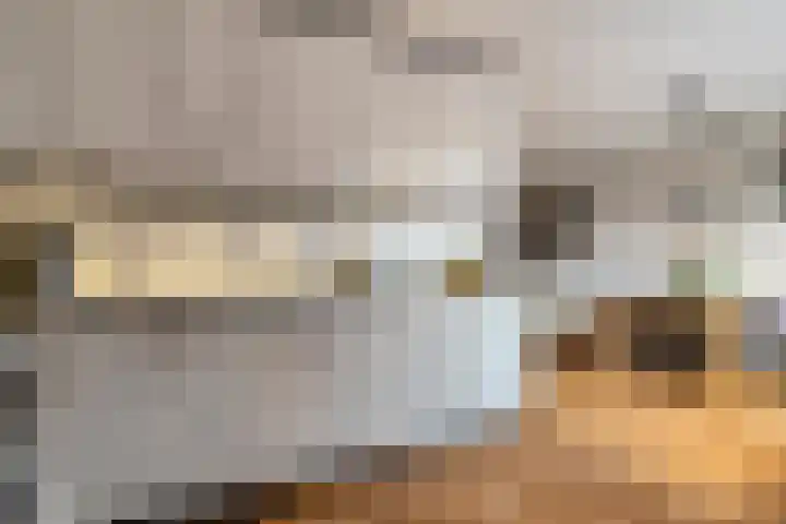 Roeterskamp 26 Hardenberg thumbnail 13