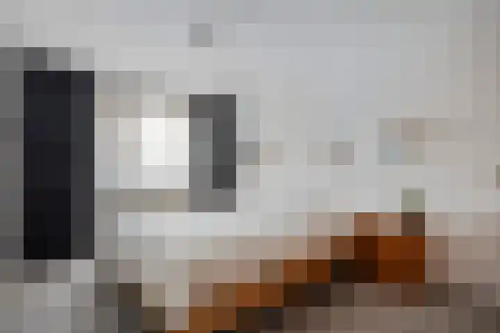 Roeterskamp 26 Hardenberg thumbnail 18