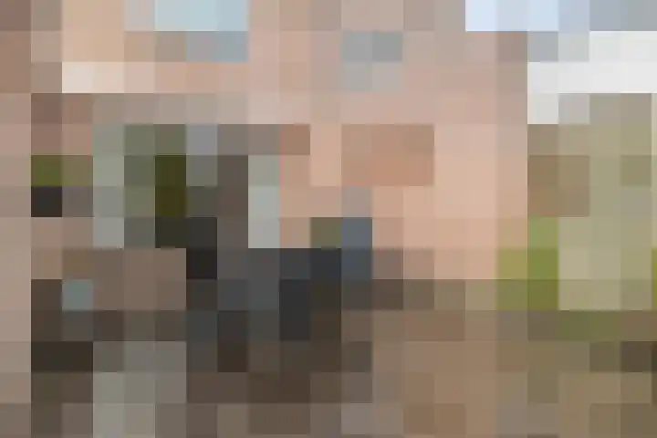 Roeterskamp 26 Hardenberg thumbnail 28