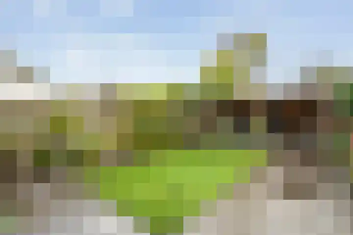 Roeterskamp 26 Hardenberg thumbnail 29