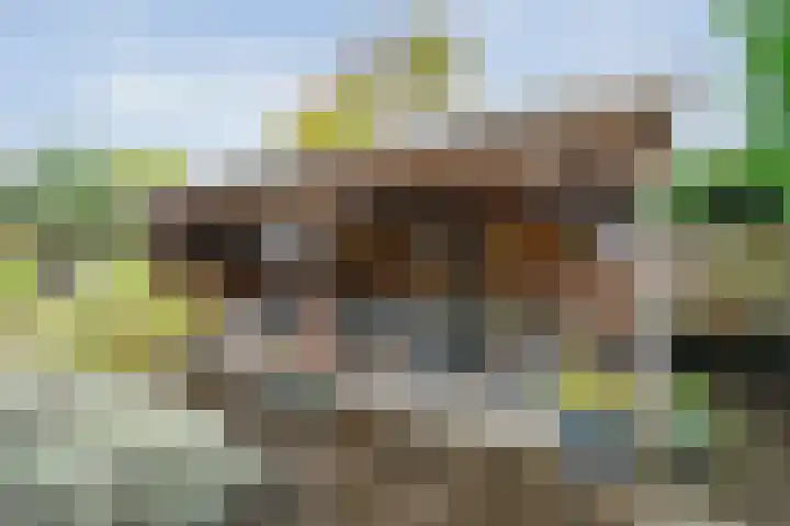 Roeterskamp 26 Hardenberg thumbnail 30