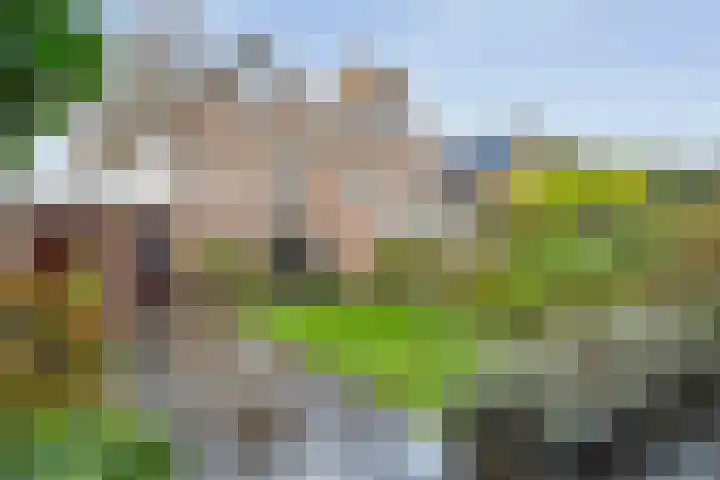 Roeterskamp 26 Hardenberg thumbnail 32