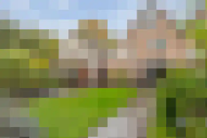 Roeterskamp 26 Hardenberg thumbnail 33