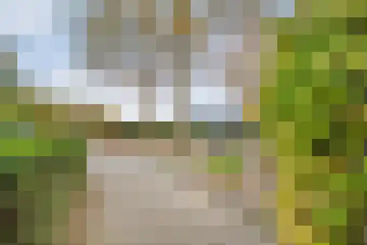 Roeterskamp 26 Hardenberg thumbnail 34