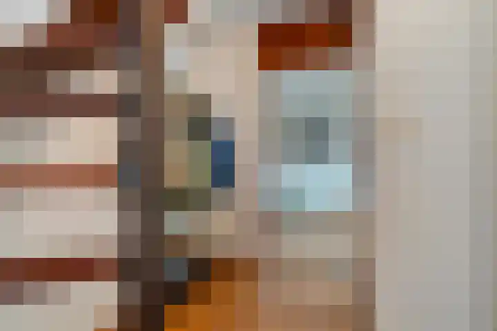 Roeterskamp 26 Hardenberg thumbnail 4