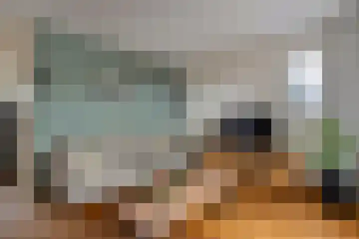 Roeterskamp 26 Hardenberg thumbnail 7