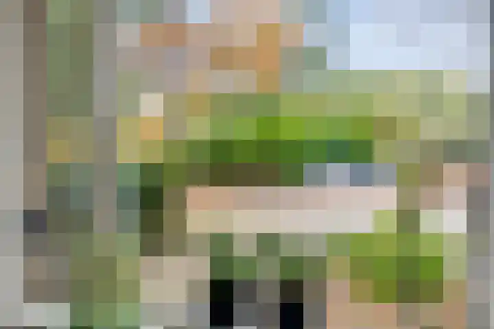 Roeterskamp 26 Hardenberg thumbnail 8