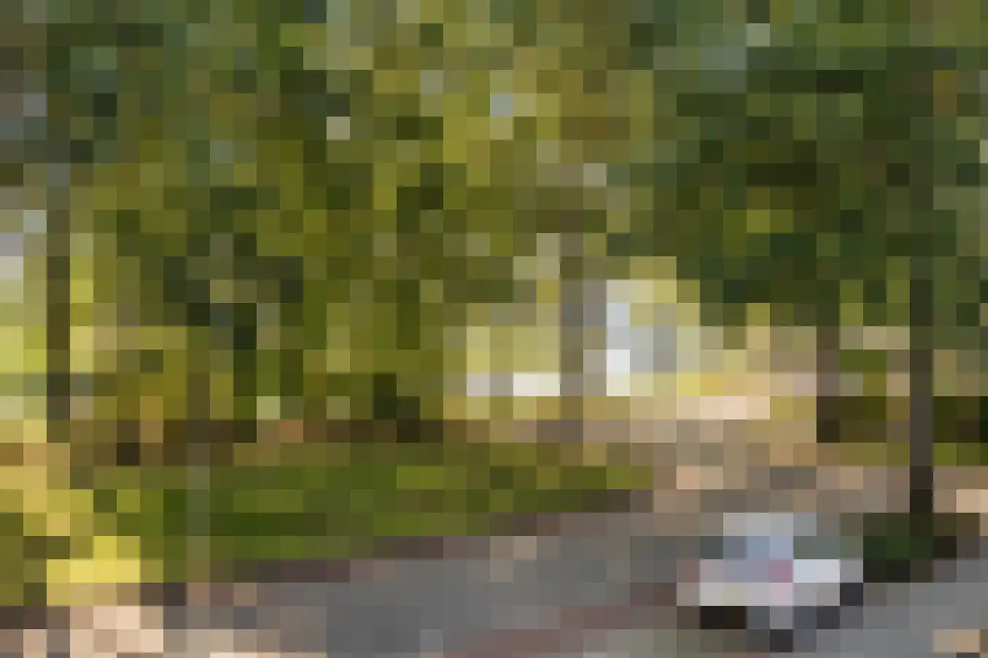 Roeterskamp 27 Hardenberg thumbnail 21