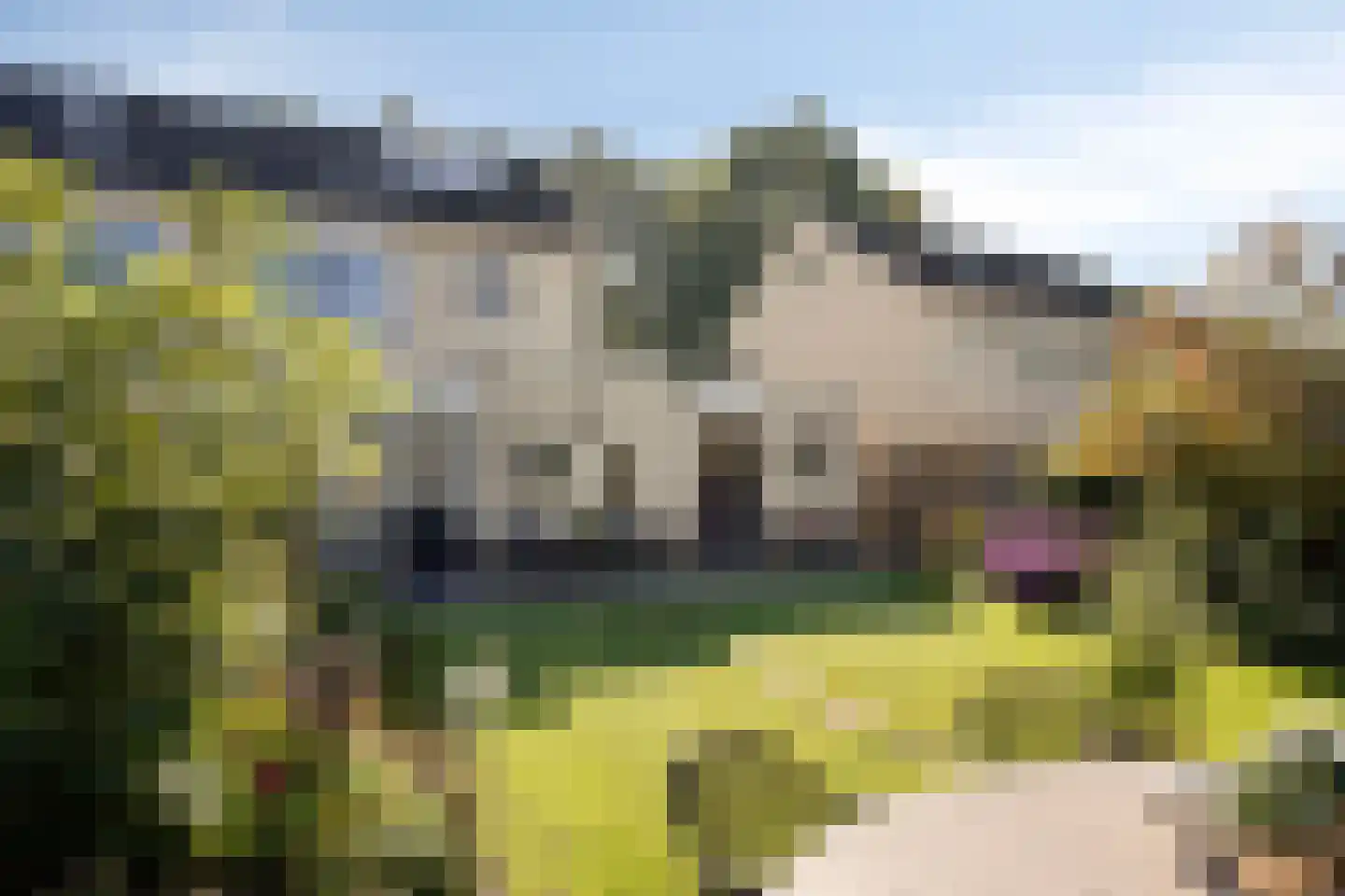 Roeterskamp 27 Hardenberg thumbnail 35