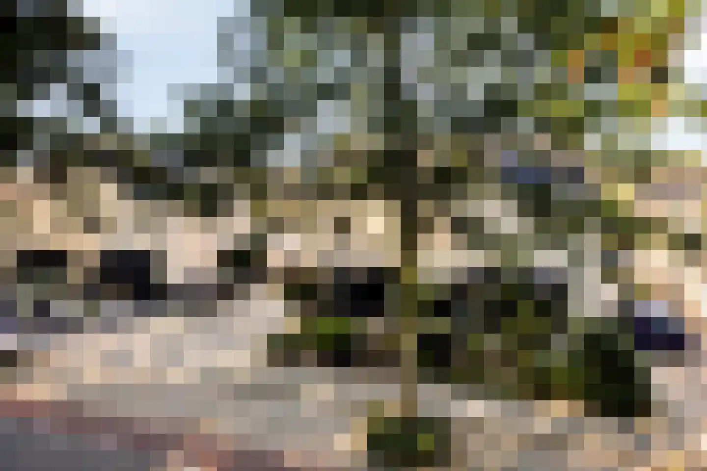 Roeterskamp 27 Hardenberg thumbnail 40
