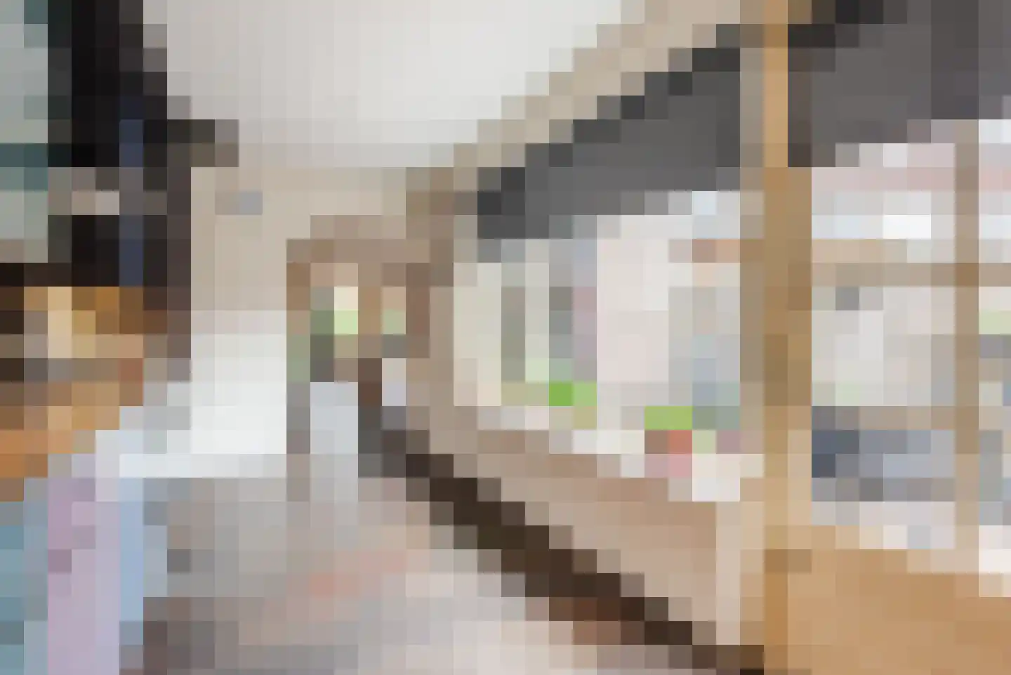 Roeterskamp 33 Scherpenzeel thumbnail 14