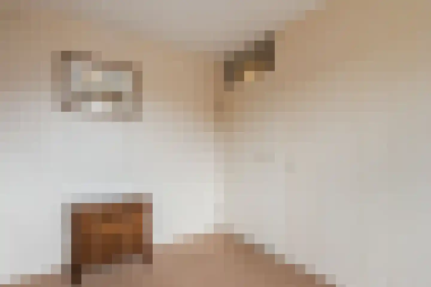 Roeterskamp 33 Scherpenzeel thumbnail 22