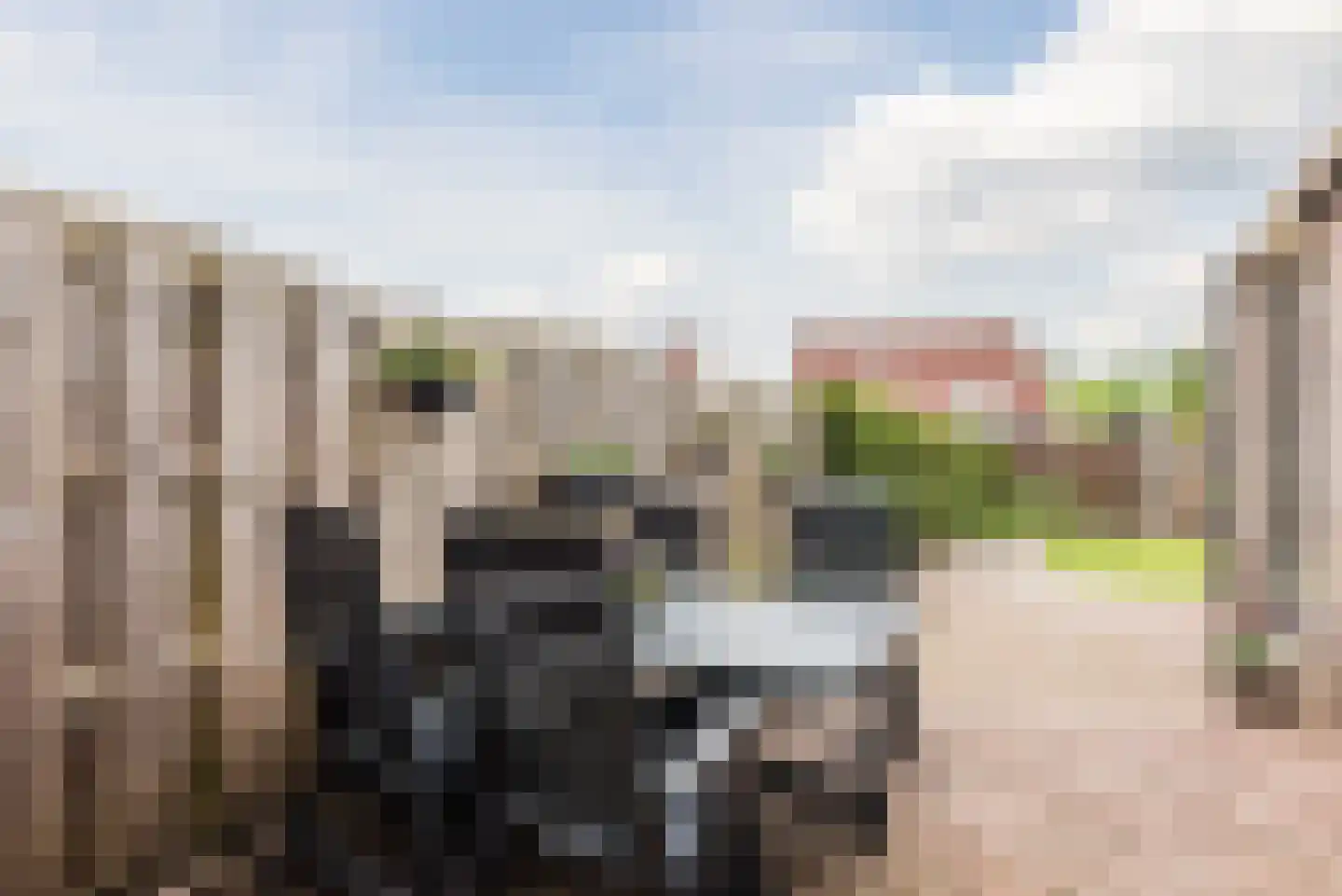 Roeterskamp 33 Scherpenzeel thumbnail 31