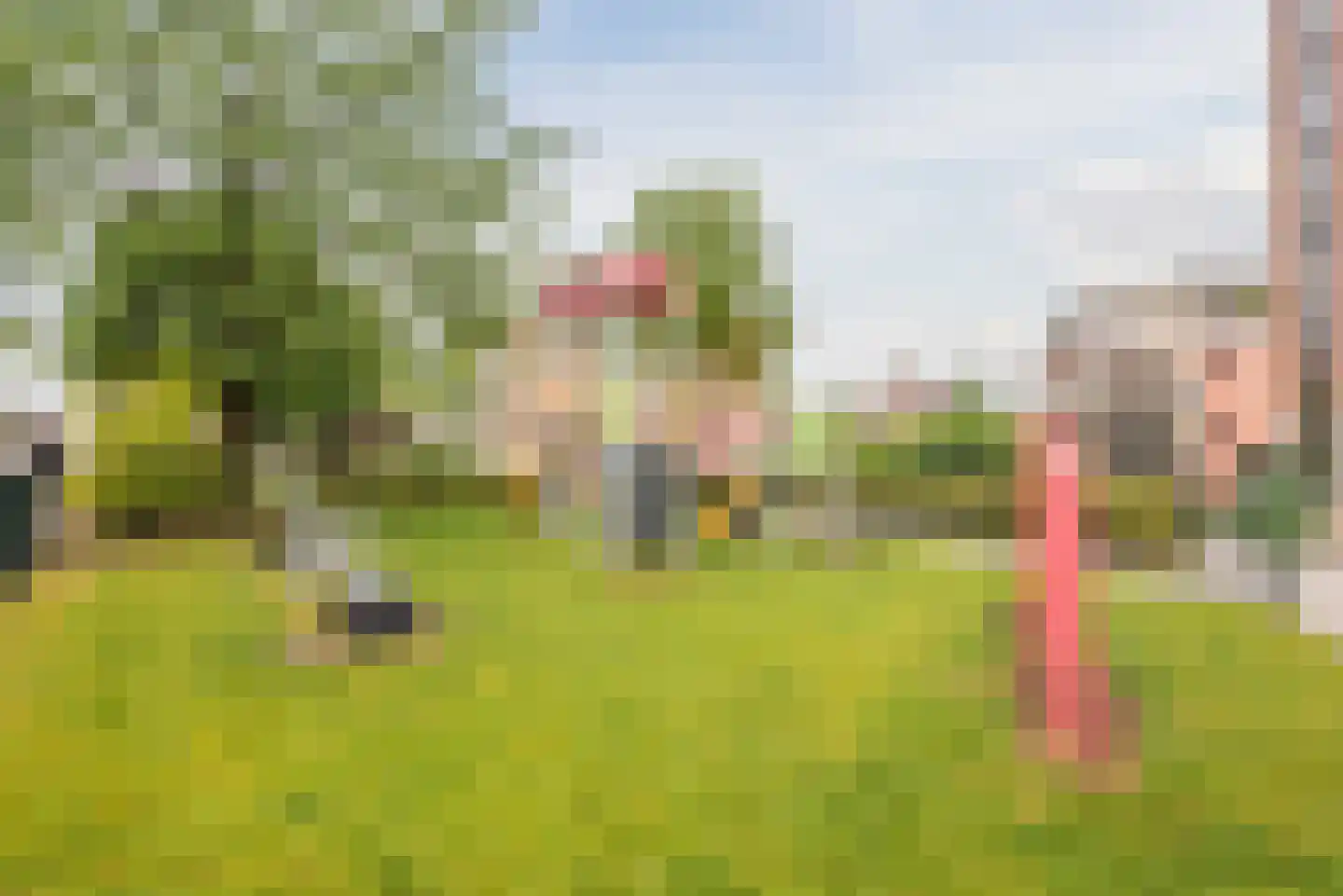 Roeterskamp 33 Scherpenzeel thumbnail 42
