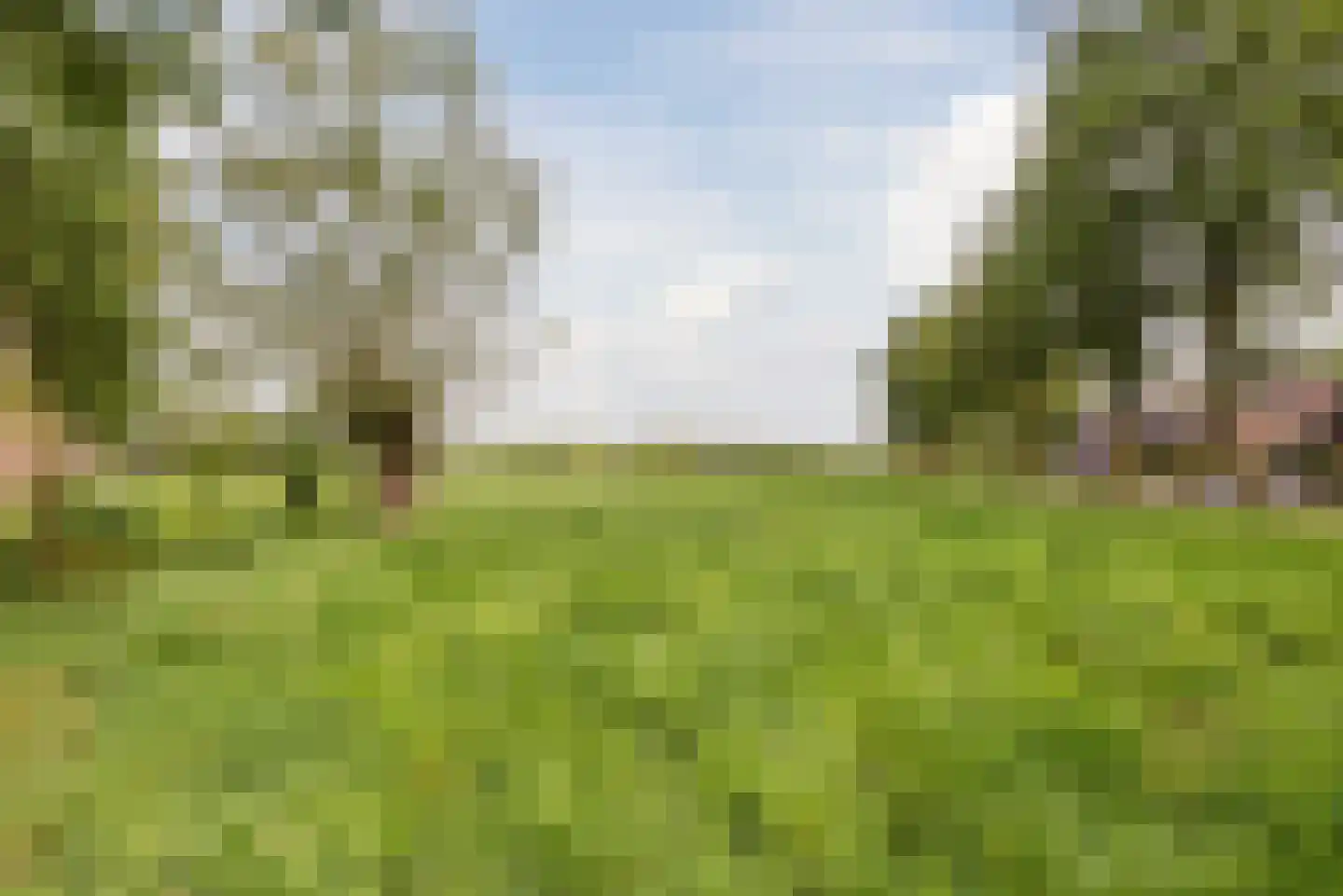 Roeterskamp 33 Scherpenzeel thumbnail 43