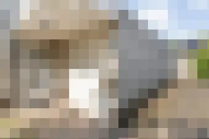 Roeterskamp 9 Hardenberg thumbnail 10