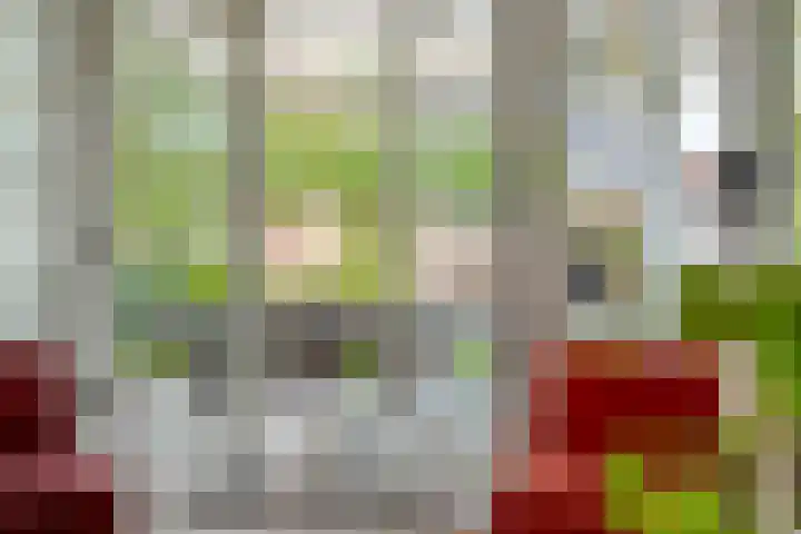 Roeterskamp 9 Hardenberg thumbnail 27