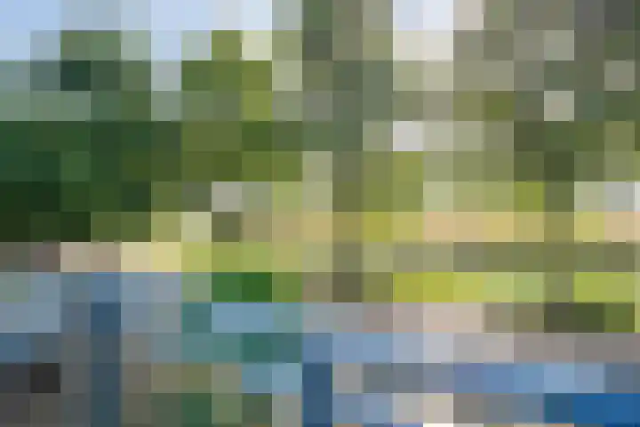 Roeterskamp 9 Hardenberg thumbnail 32