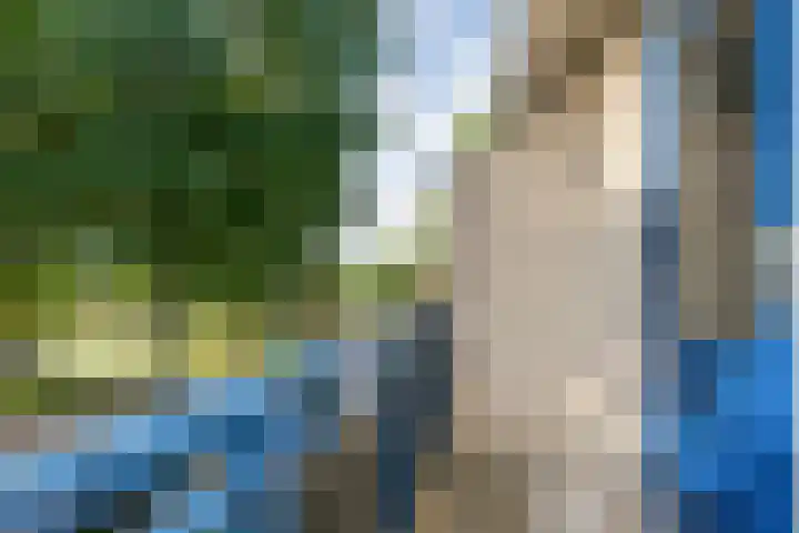 Roeterskamp 9 Hardenberg thumbnail 33