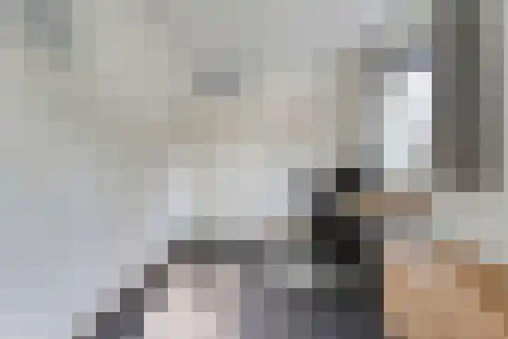 Roeterskamp 9 Hardenberg thumbnail 35