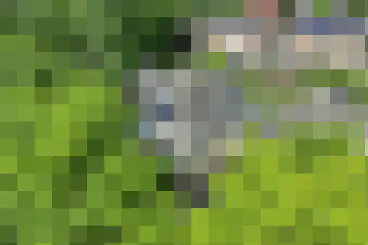 Roeterskamp 9 Hardenberg thumbnail 4