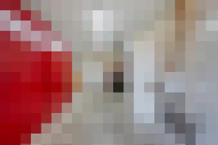 Roeterskamp 9 Hardenberg thumbnail 47