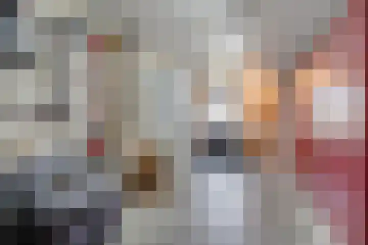 Roeterskamp 9 Hardenberg thumbnail 48