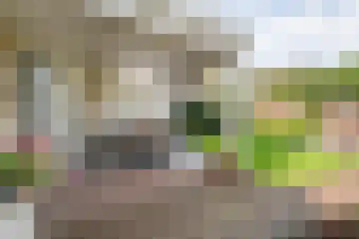 Roeterskamp 9 Hardenberg thumbnail 49