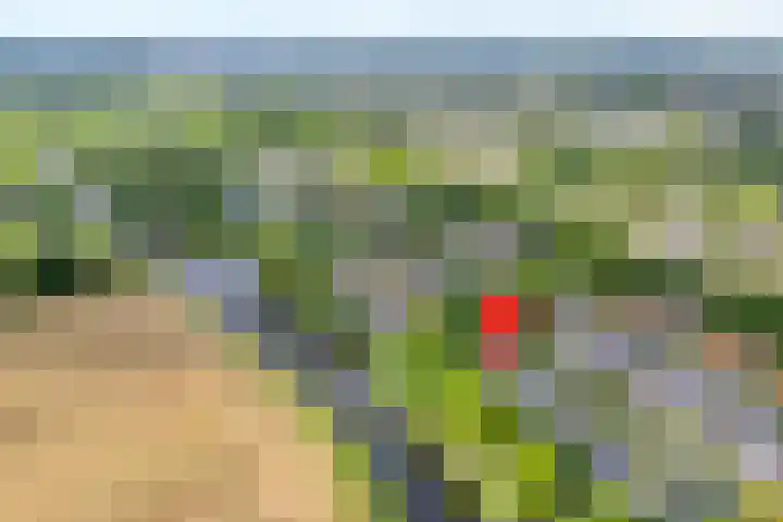 Roeterskamp 9 Hardenberg thumbnail 5